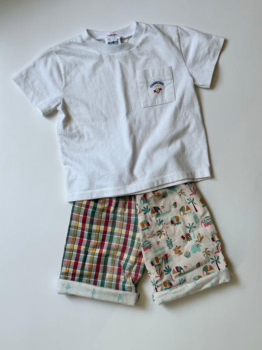 Short 2Y